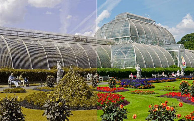 Understanding colour blindness | Lenstore.co.uk